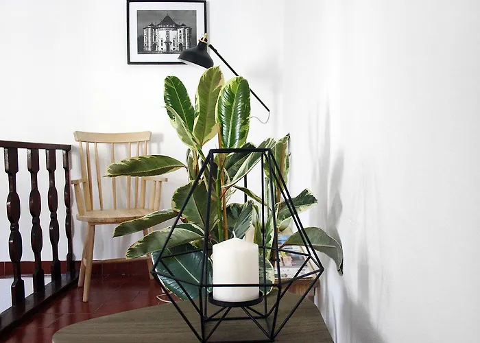 Foral - 3* 오비도스